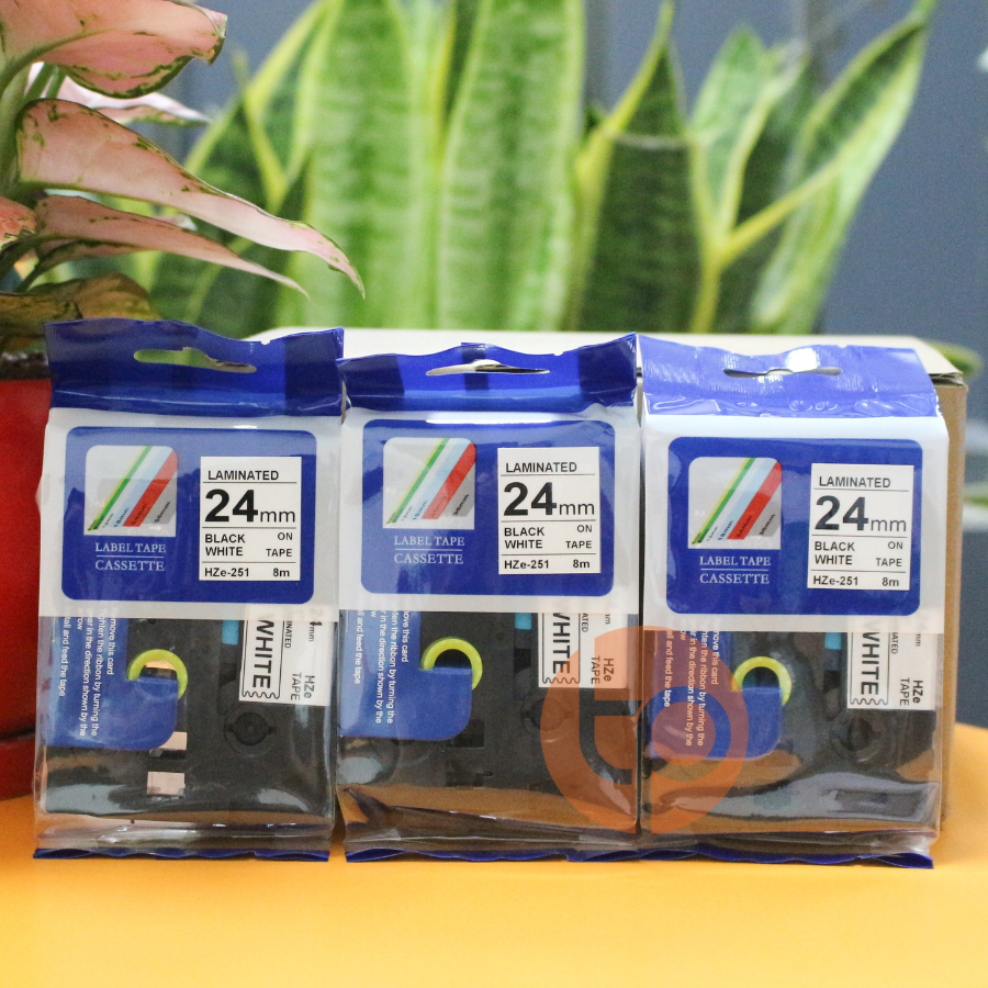 Combo 3 nhãn in Hze-251, khổ rộng 24mm dài 8m, chữ đen nền trắng.