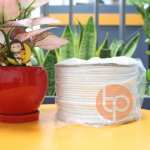 ống lồng ​đầu cốt GK-TU380N